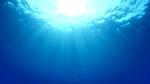 Plastics in the sea