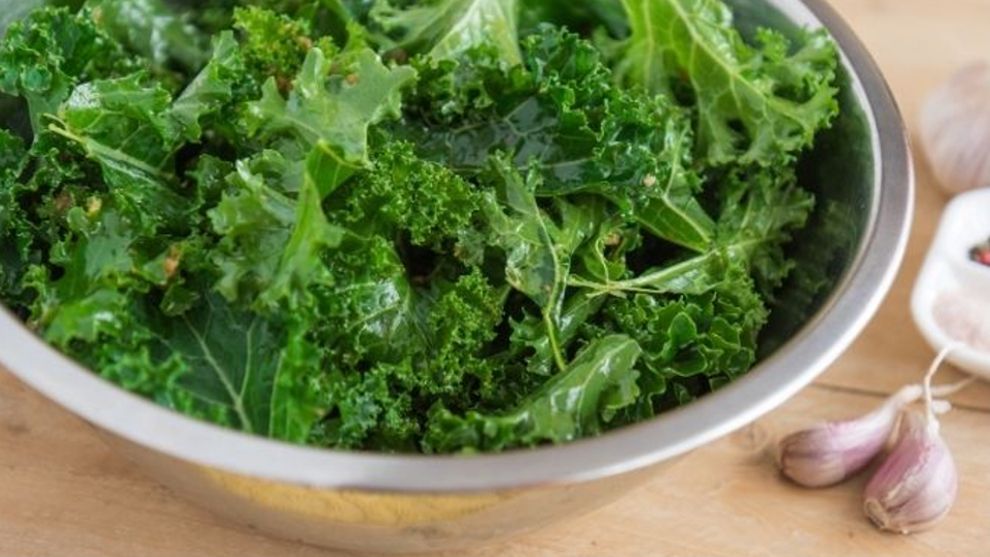 Picture of Kale