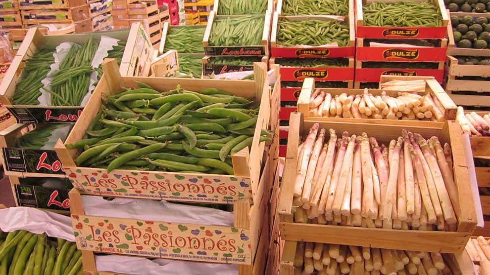 An array of fresh vegetables ready for cooking
