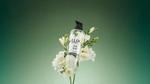 A bottle of Lux Botanicals shower gel, placed on a stem of white flowers, with a green background.