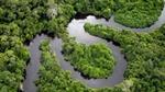 A river winding through the rainforest