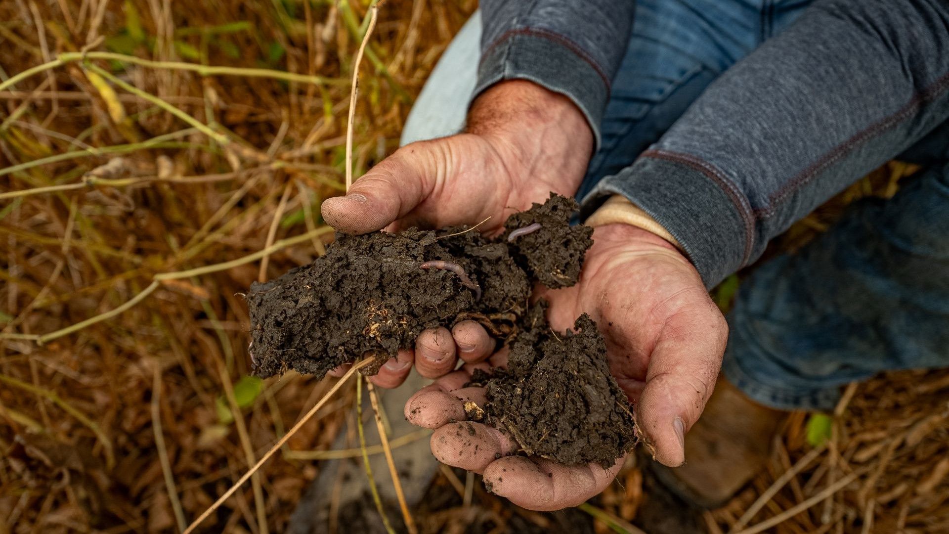 A farmer’s hands are shown holding rich-looking soil with plentiful earth worms.