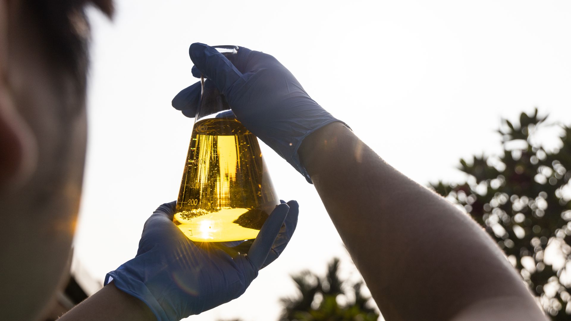 A glass container of biofuel, 40% of Unilever Port Sunlight’s fleet in the UK is powered by biofuel from cooking oil