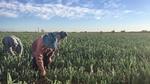 Photo by Unilever employee Guido Ast, Argentina