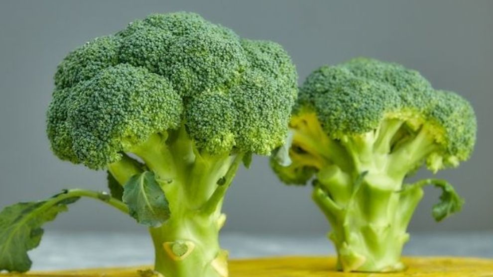 Picture of Broccoli