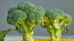Picture of Broccoli