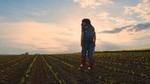 A woman walks through a field of growing seedlings. She reaches down to inspect them.