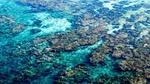 Rock pools