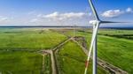 Renewable Grid Electricity