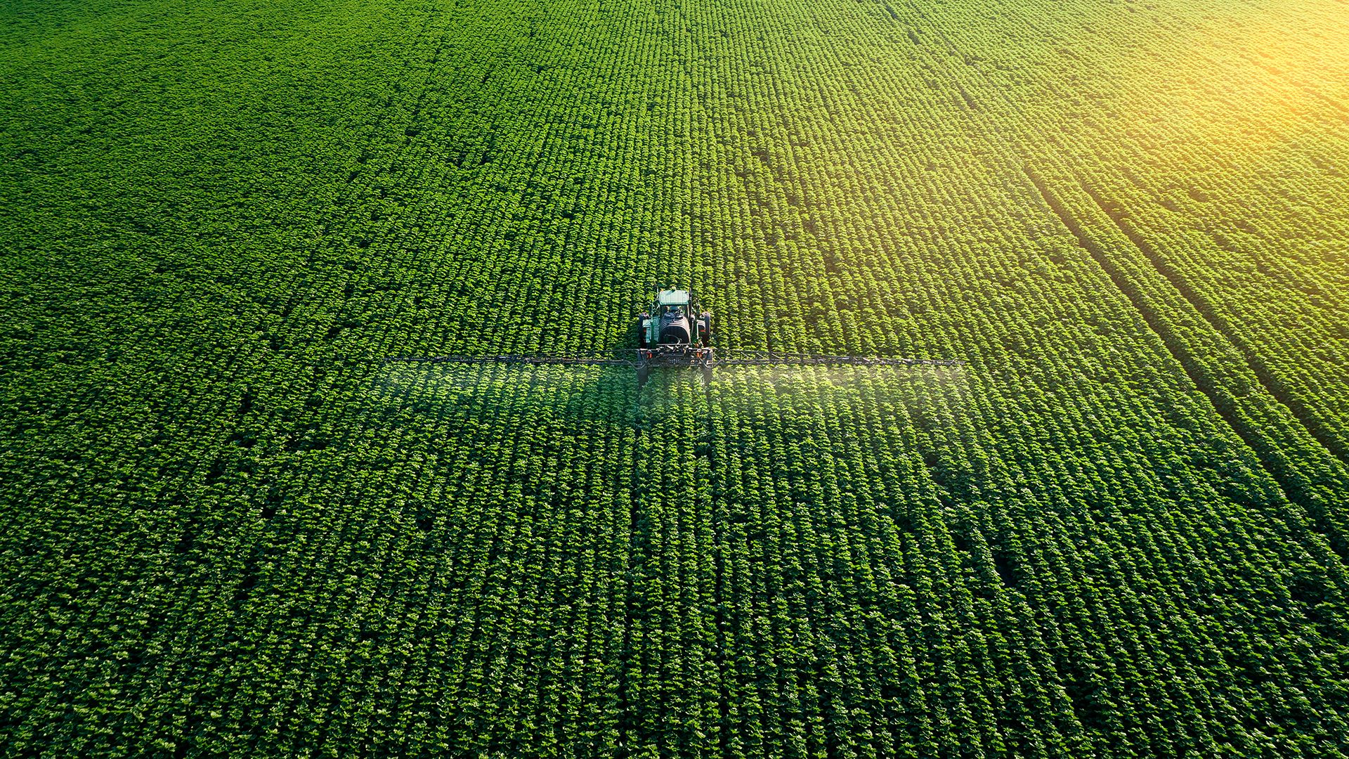 Tracker shown in a large area of land.