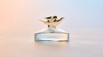 Dove Launches Its First-Ever Fine Fragrance
