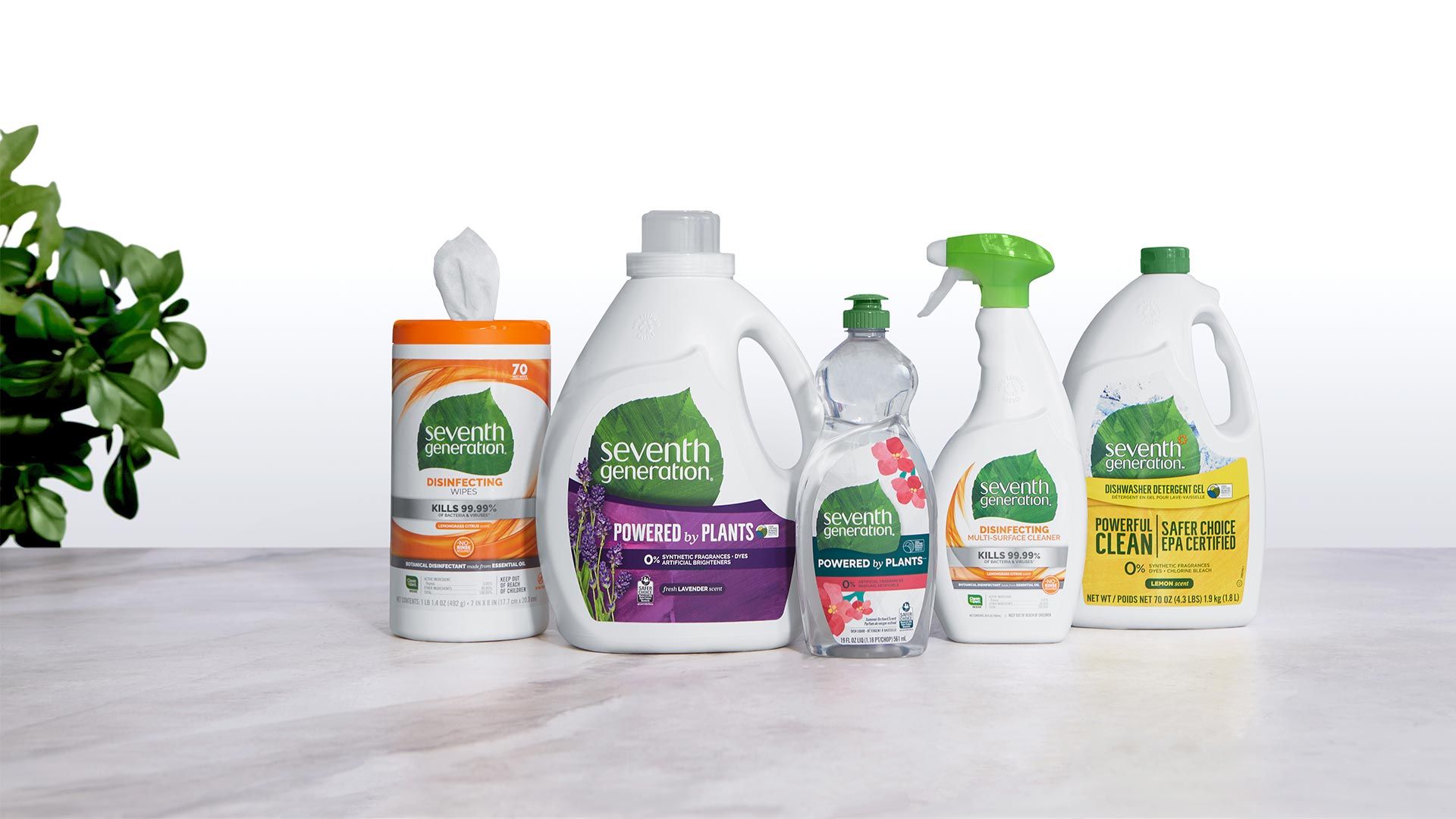 Seventh Generation products