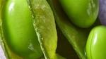Close-up of green edamame beans in a pod.